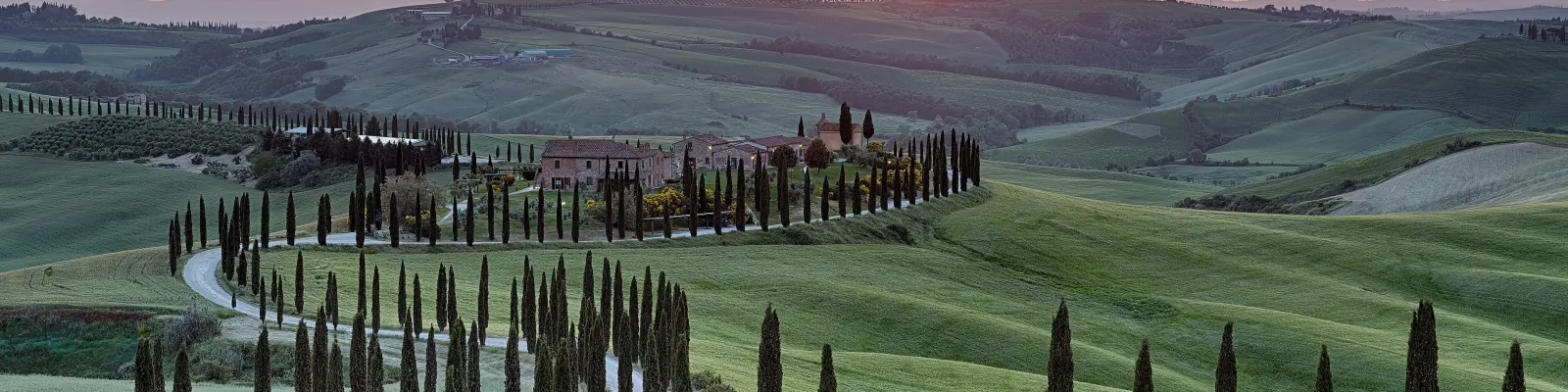 A road lined with cypress trees winding through green Tuscan hills to a farmhouse at sunset, near Asciano